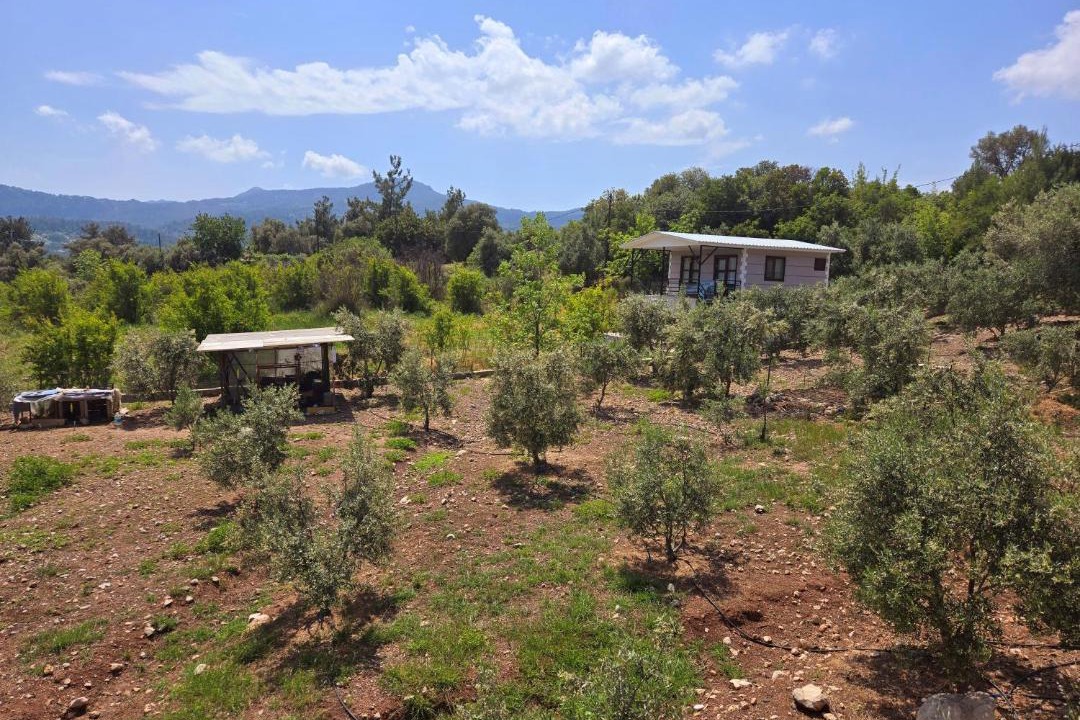 Photo of Others in Olympos