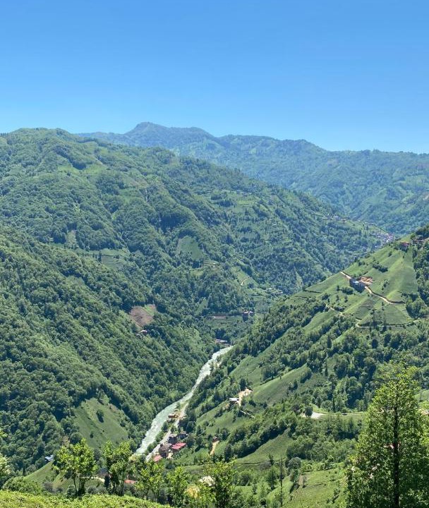 Photo of Others in Ayder