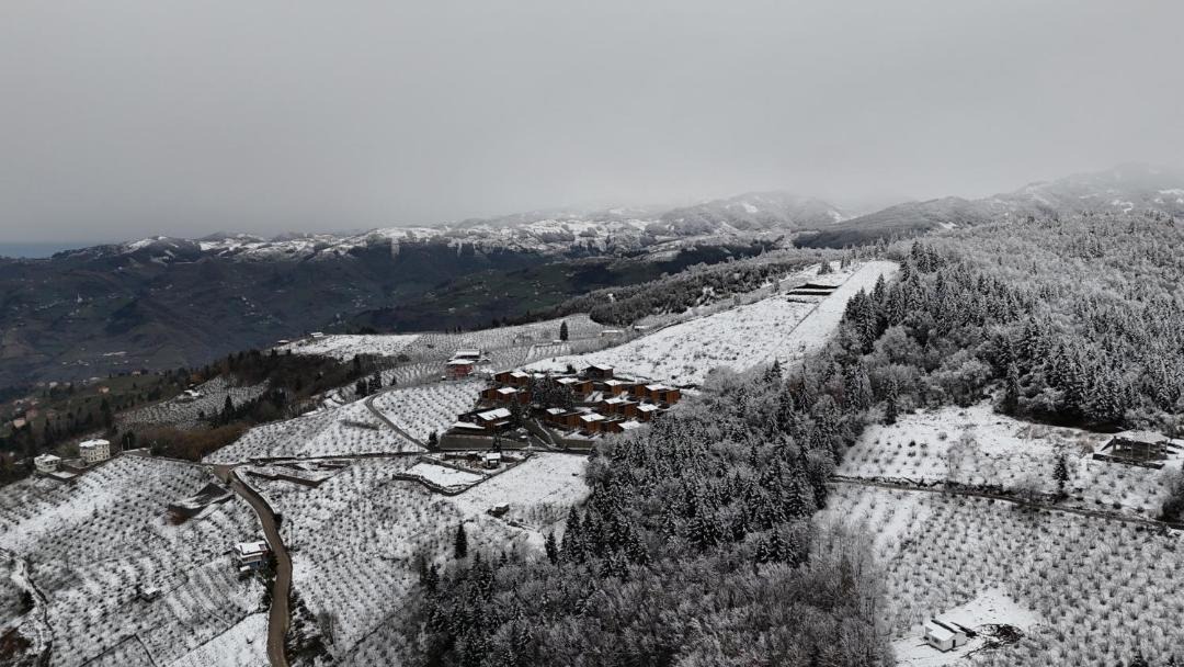 Photo of Others in Trabzon