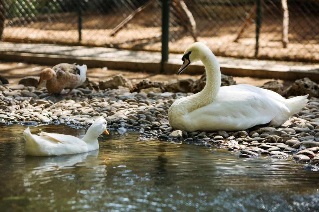 Photo of Others in Belek Golf Area
