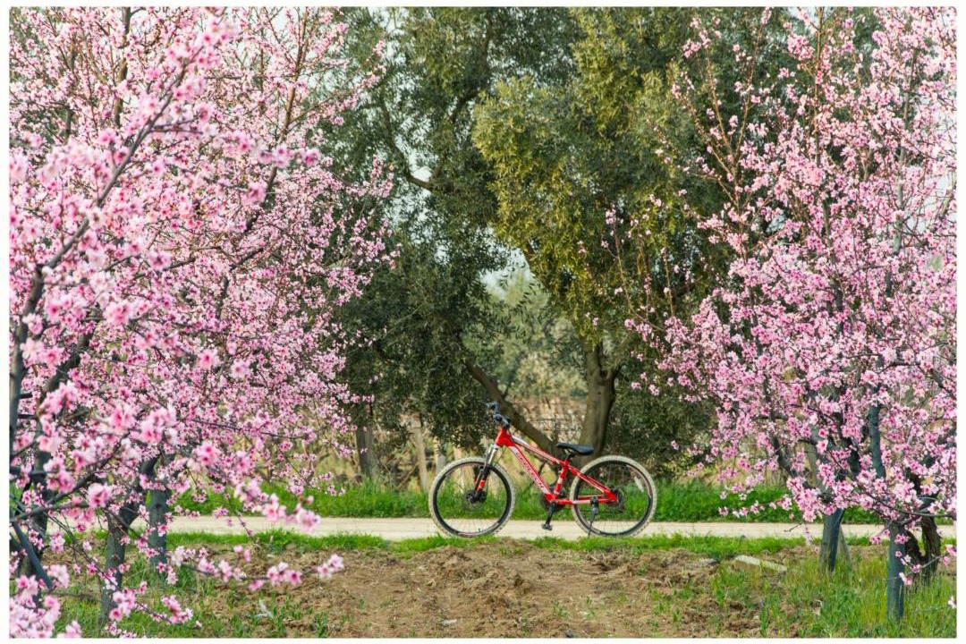 Photo of Others in Iznik