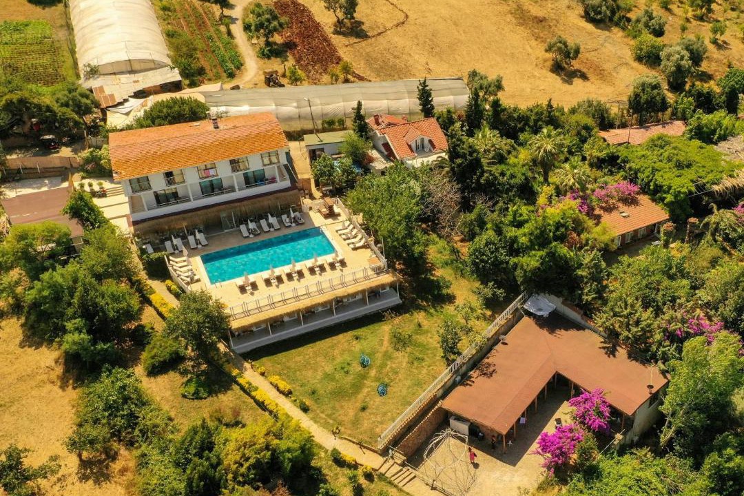 Photo of Others in Adalar