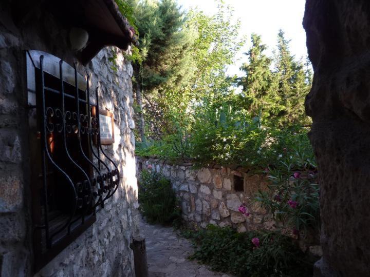 Photo of Others in Didim