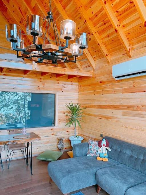 Photo of Livingroom in Ilmiye