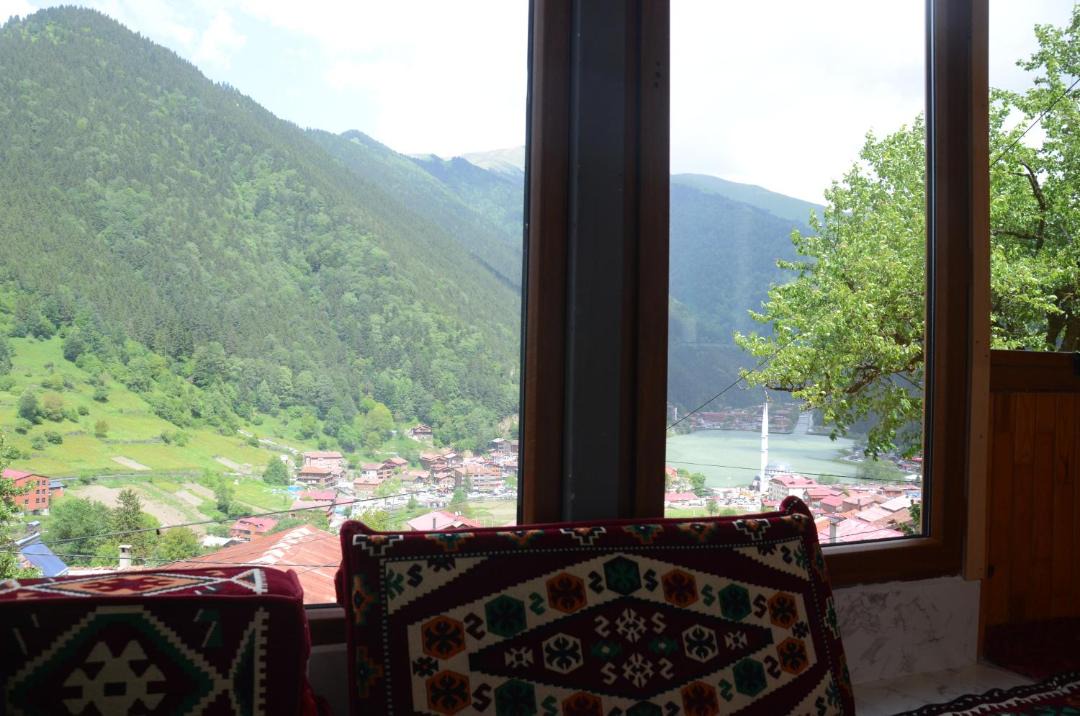 Photo of Others in Uzungol