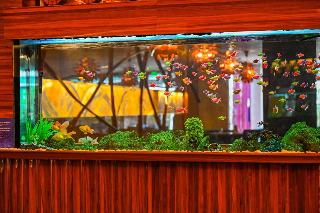 Photo of Others in Nilufer