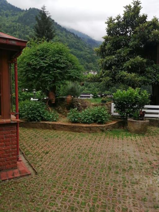 Photo of Others in Ayder