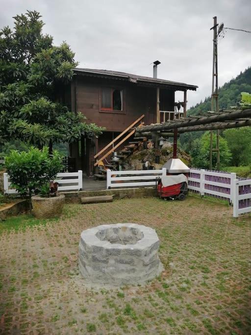 Photo of Others in Ayder