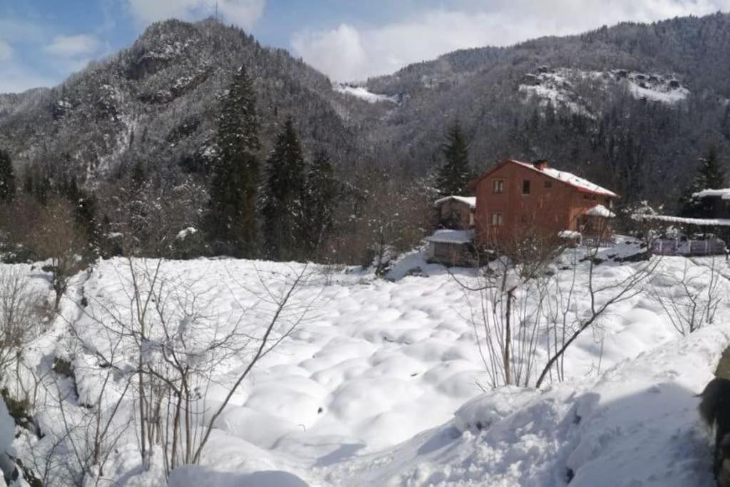 Photo of Others in Ayder