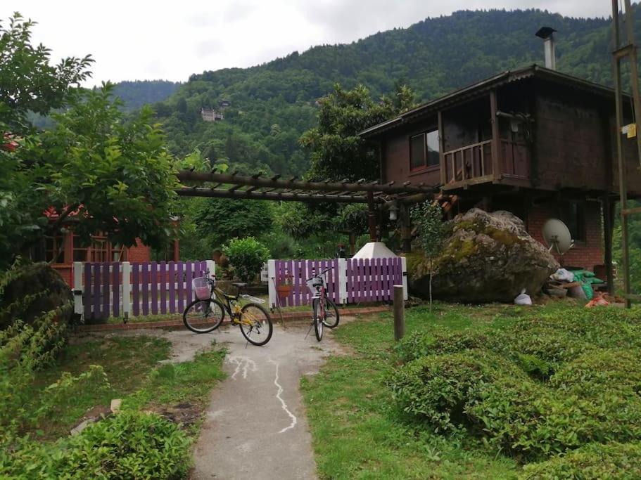 Photo of Others in Ayder