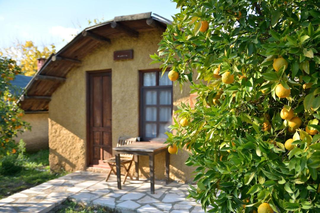 Photo of Others in Olympos