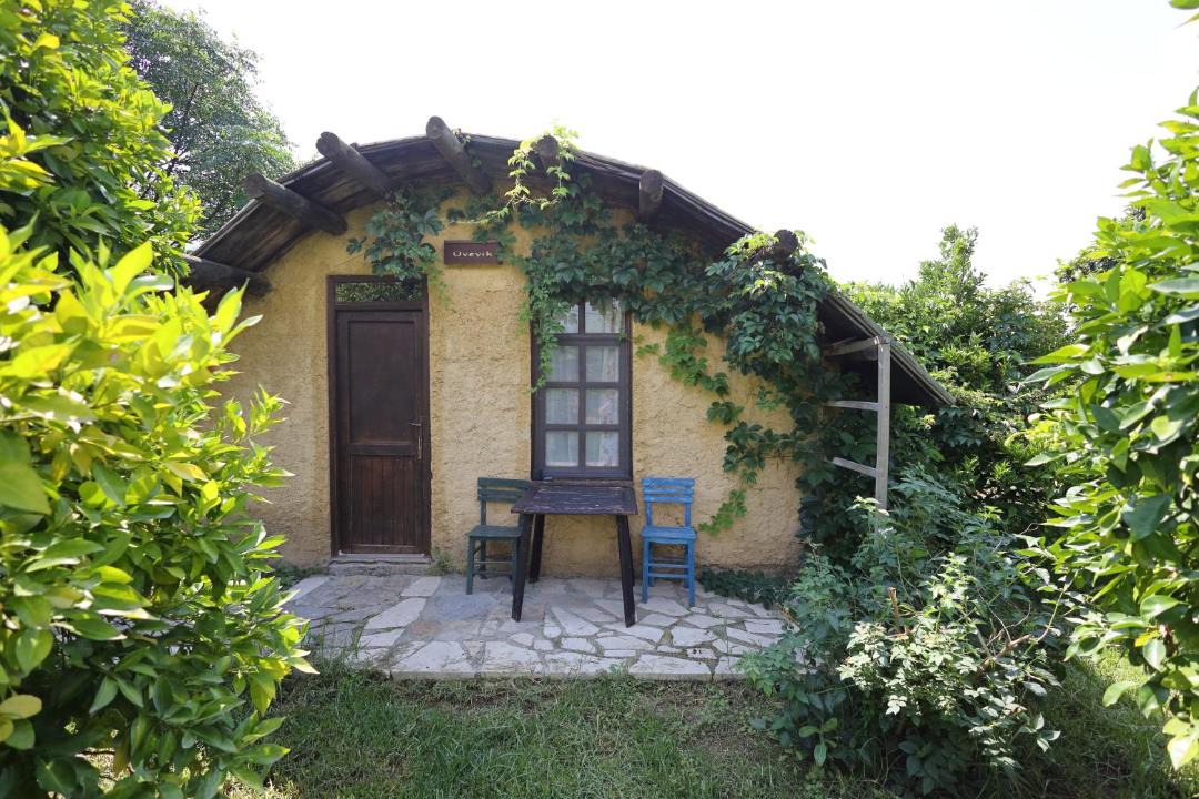 Photo of Others in Olympos