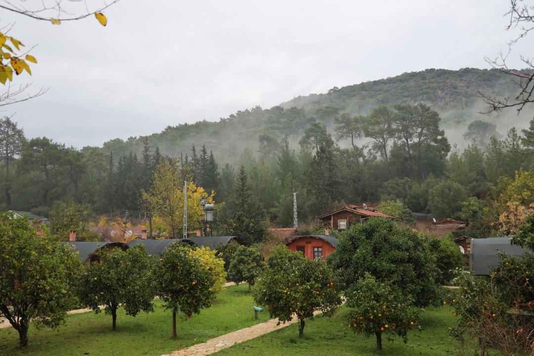 Photo of Others in Olympos