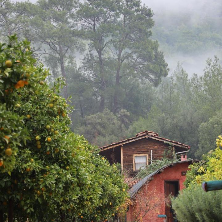 Photo of Others in Olympos