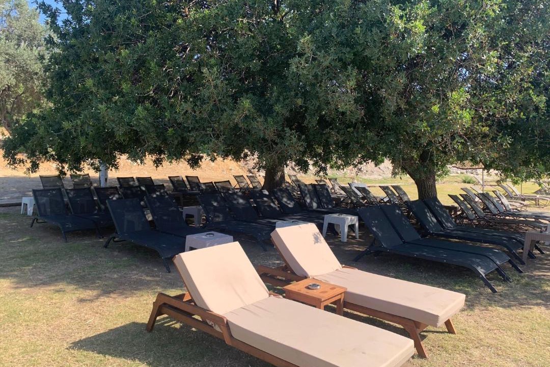 Photo of Others in Dalyan Mahallesi