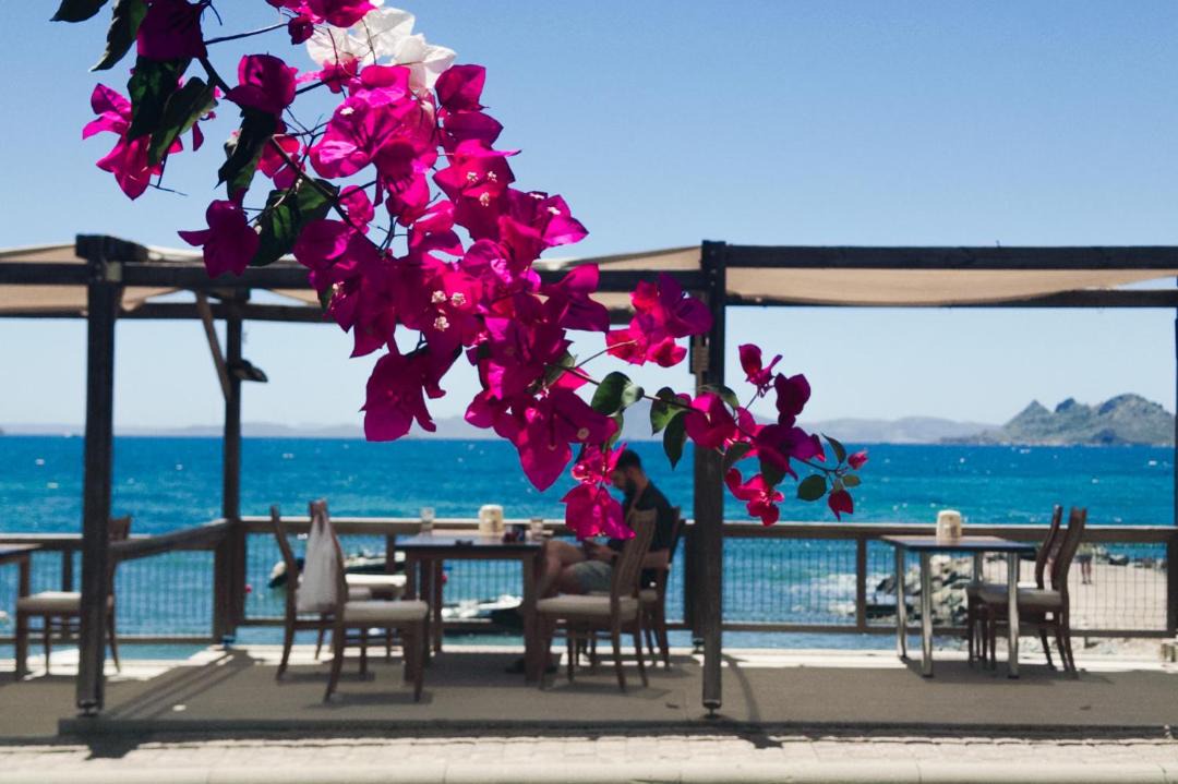 Photo of Others in Turgutreis