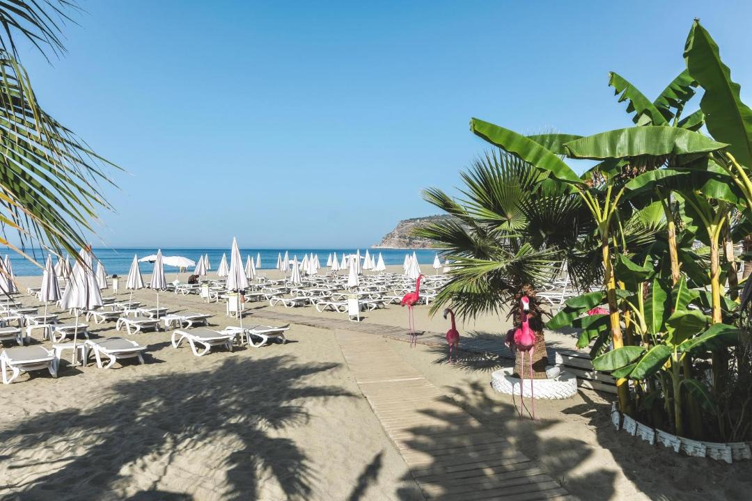 Photo of Others in Alanya