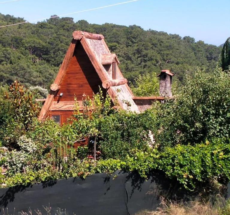 Photo of Others in Kumluca