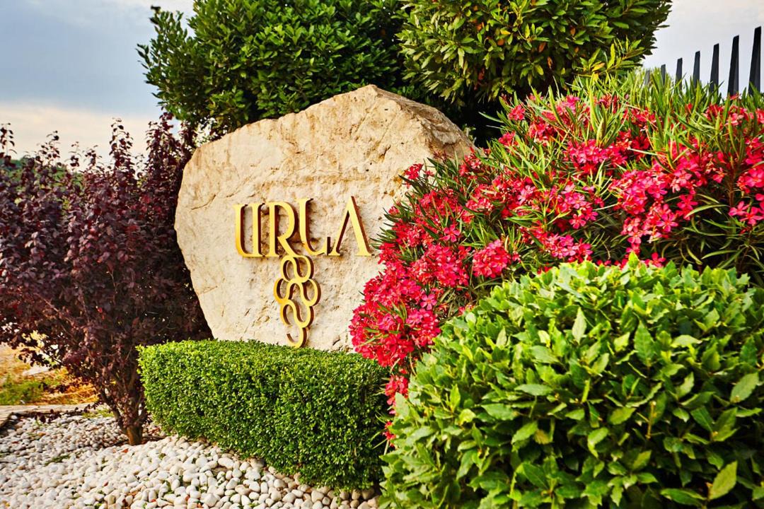 Photo of Others in Urla