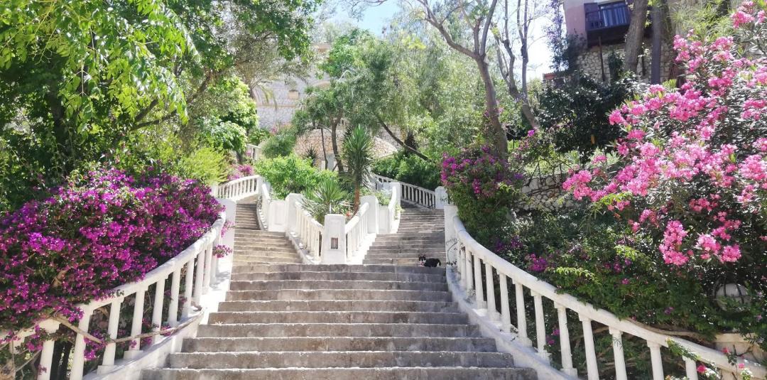 Photo of Others in Kalkan