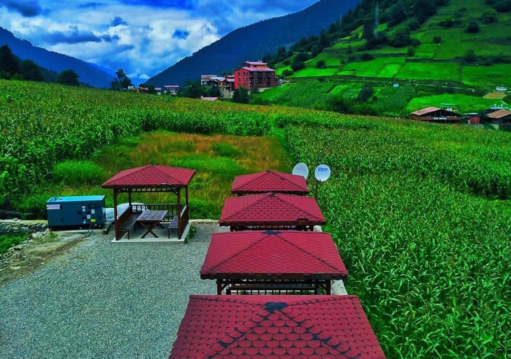 Photo of Others in Uzungol
