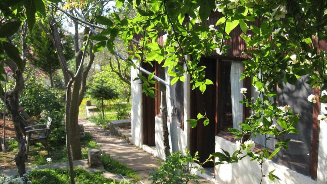 Photo of Others in Sefa Camlık