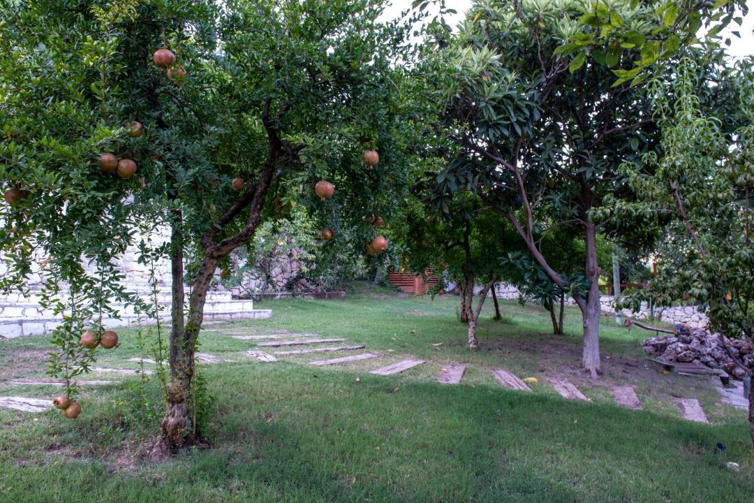 Photo of Others in Ulupinar