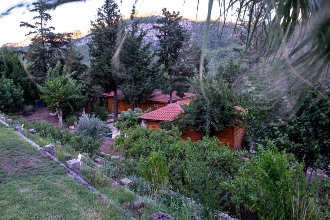 Photo of Others in Ulupinar