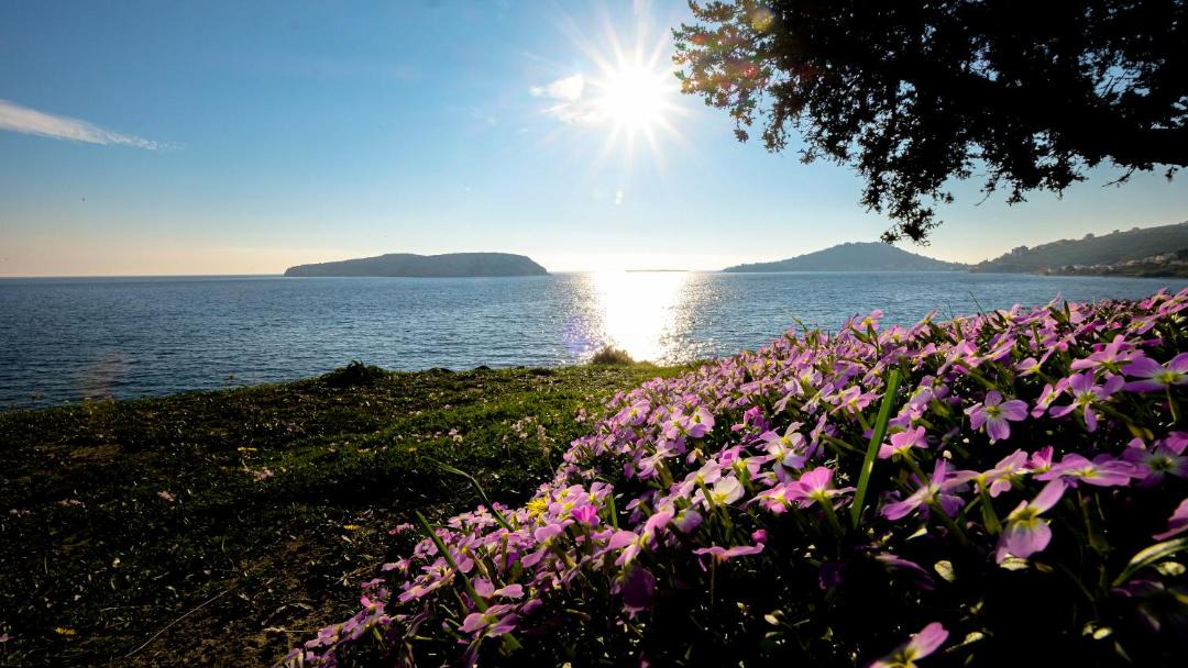 Photo of Others in Karaburun