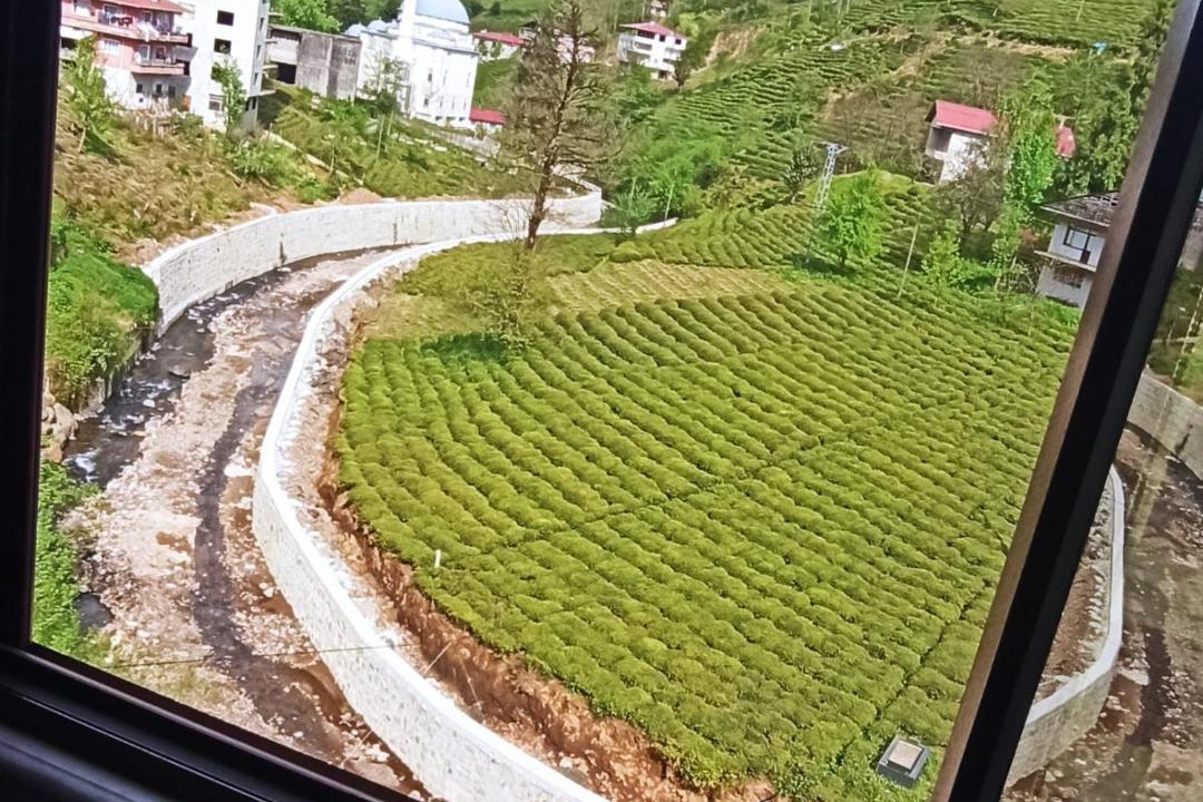 Photo of Others in Rize