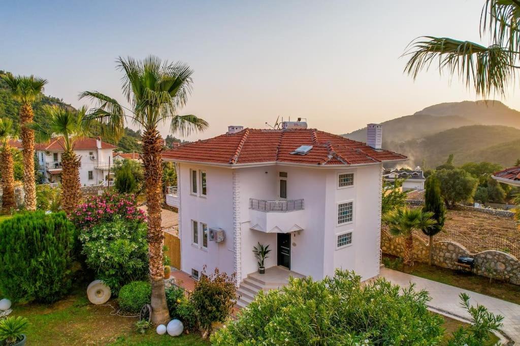 Photo of Others in Oludeniz