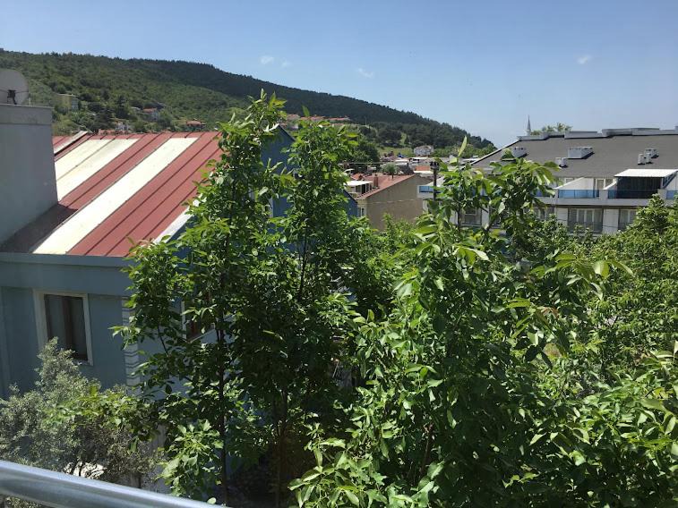 Photo of Others in Ocaklar
