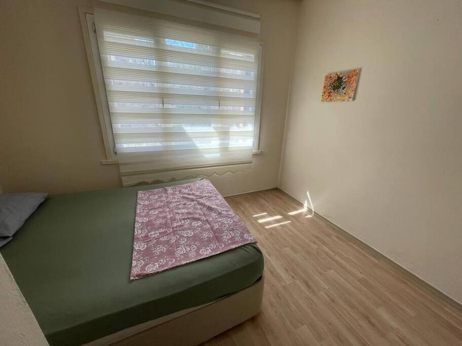 Photo of Others in Camlık Mahallesi