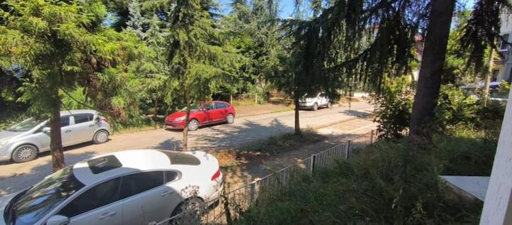 Photo of Others in Trabzon