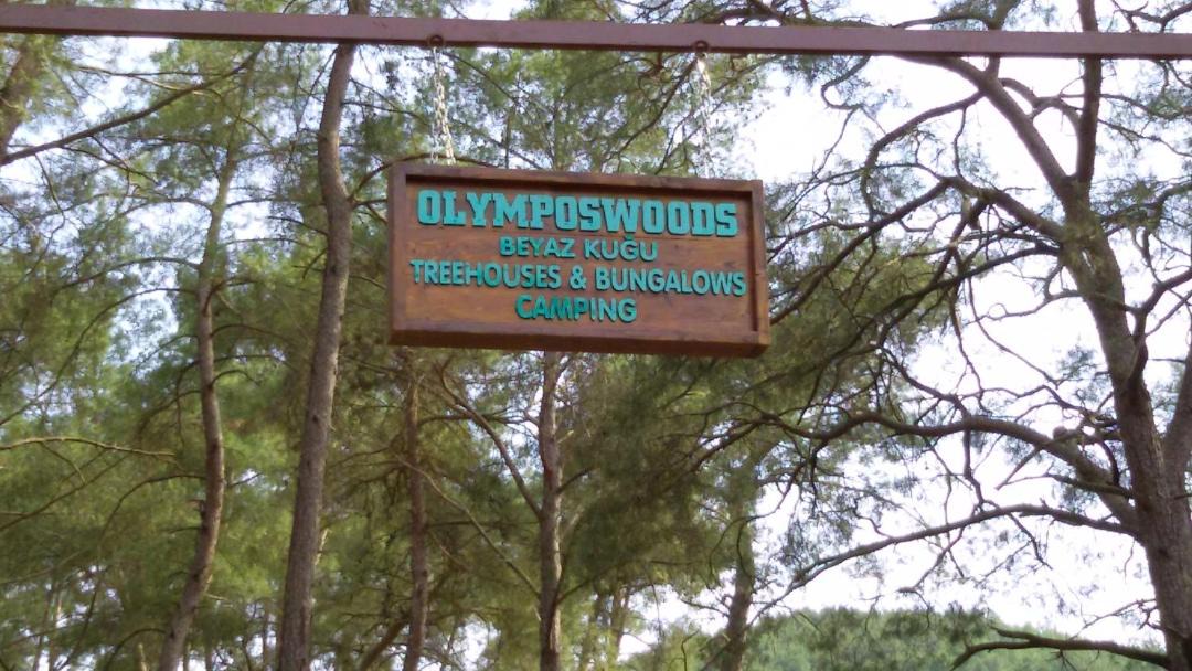 Photo of Others in Olympos