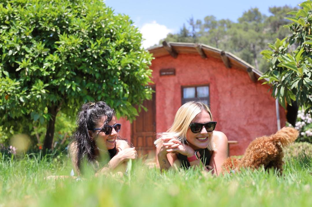 Photo of Others in Olympos