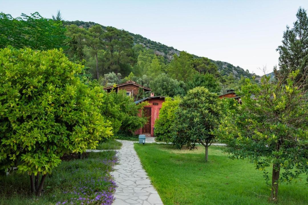 Photo of Others in Olympos