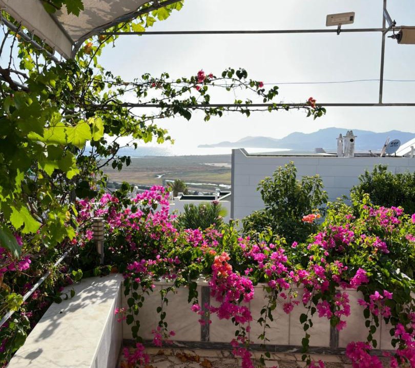 Photo of Others in Dalaman