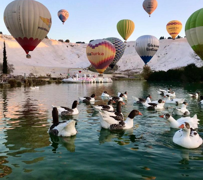 Photo of Others in Pamukkale City Centre