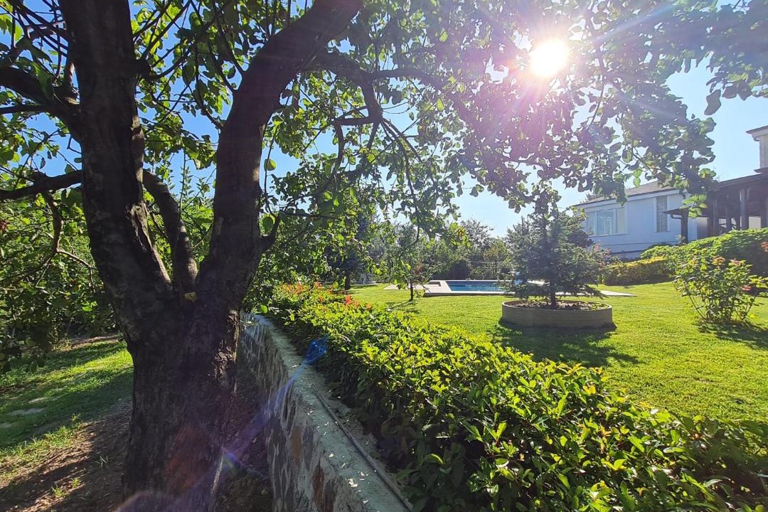 Photo of Outdoor in Sapanca