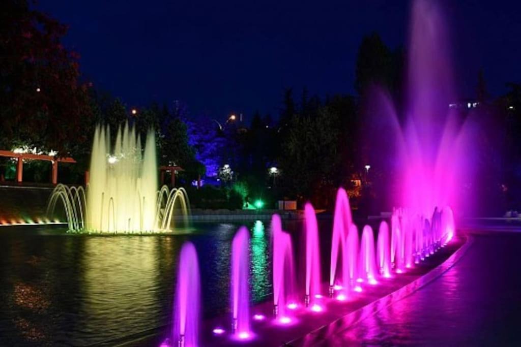 Photo of Others in Cankaya