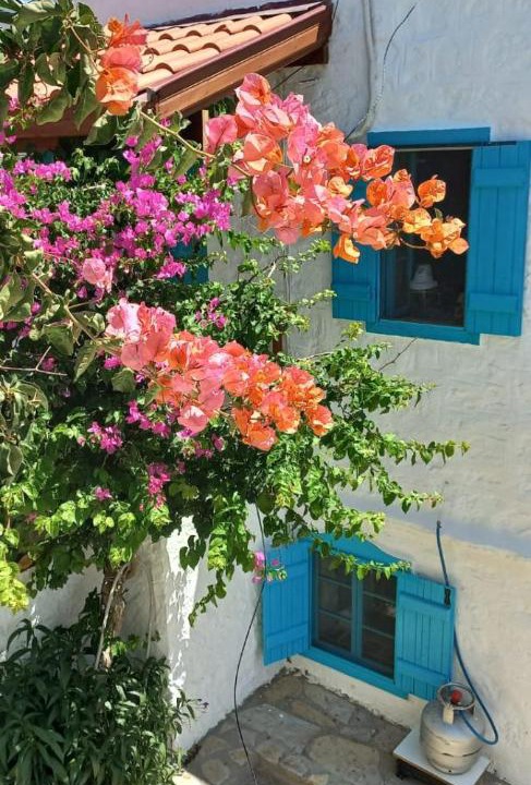 Photo of Others in Datca
