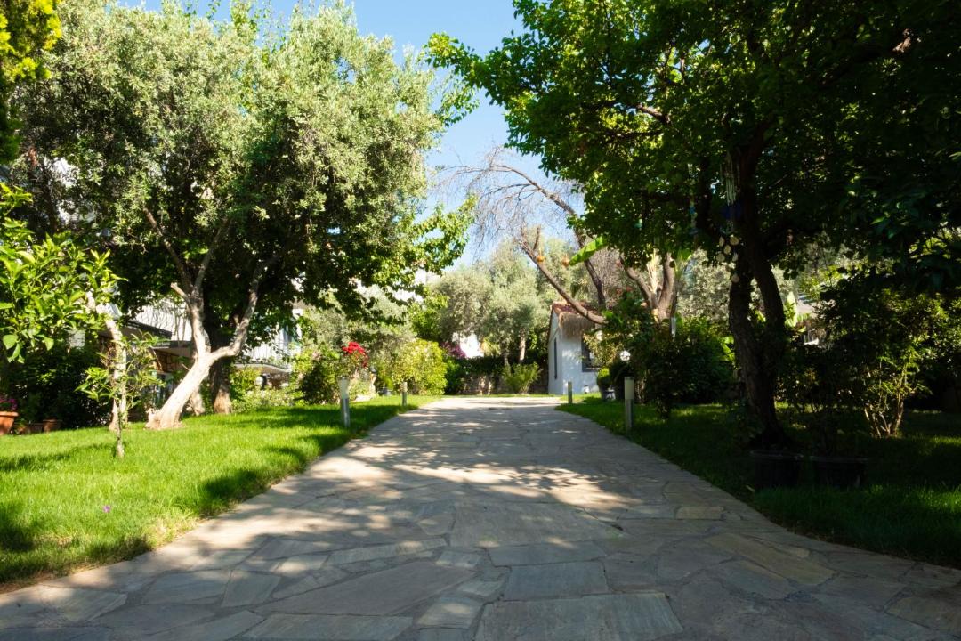 Photo of Others in Oludeniz