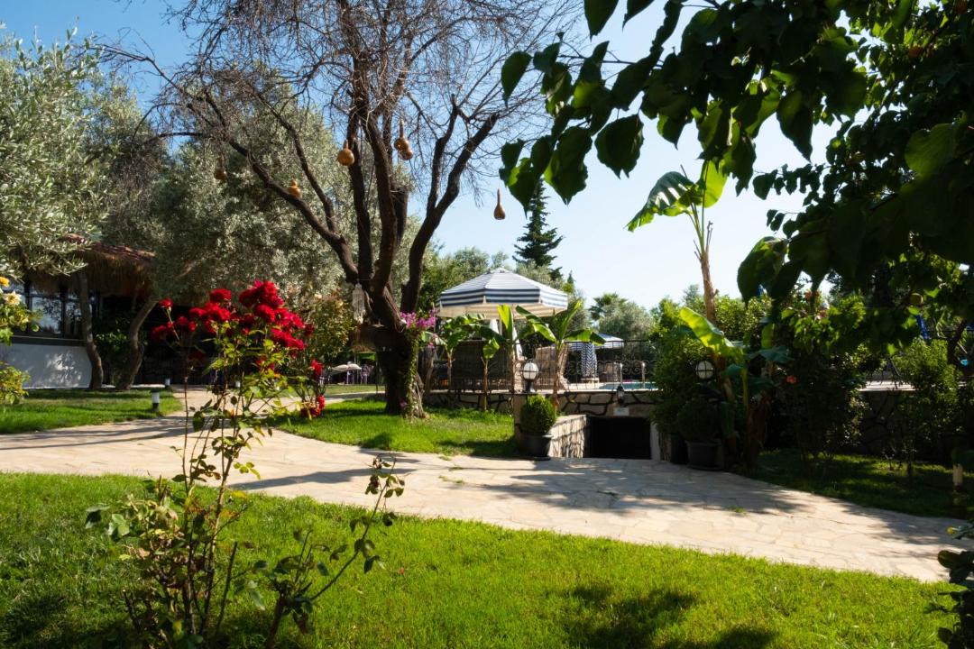 Photo of Others in Oludeniz