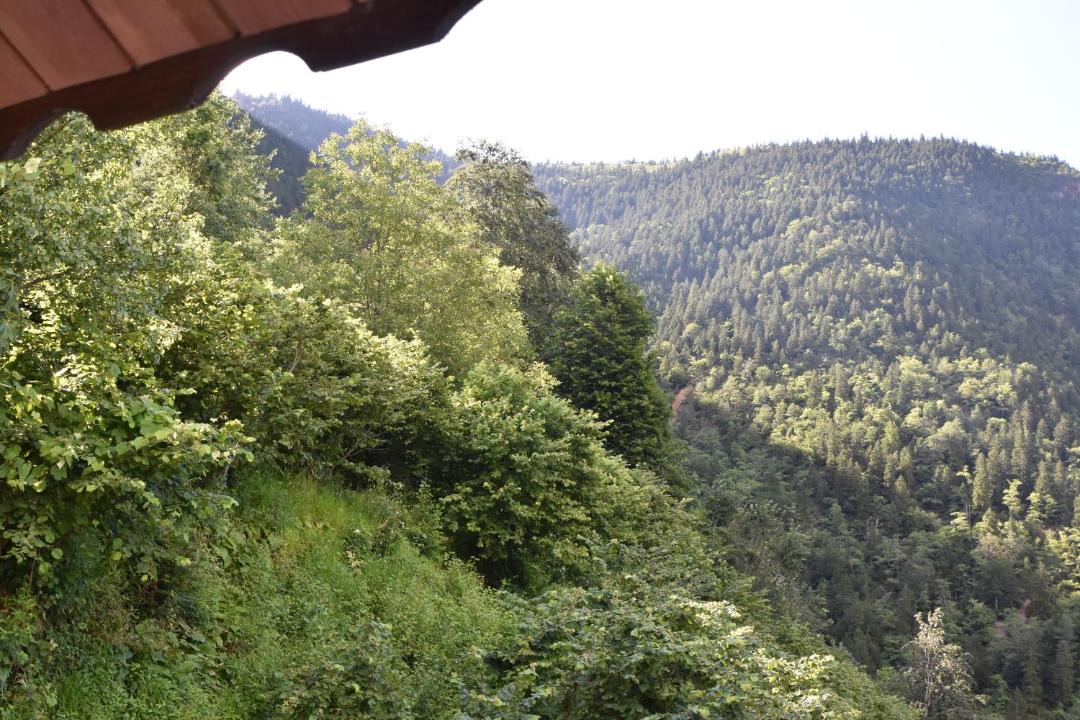 Photo of Others in Caykara