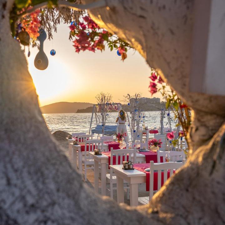 Photo of Others in Bodrum
