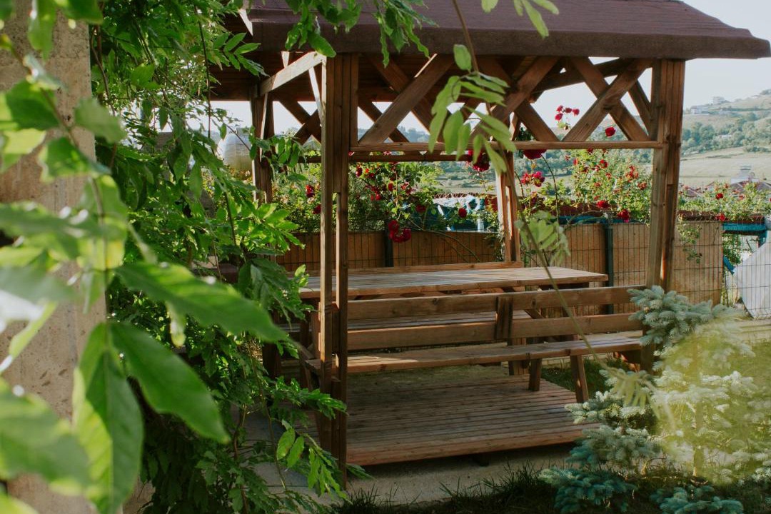Photo of Others in Sinop