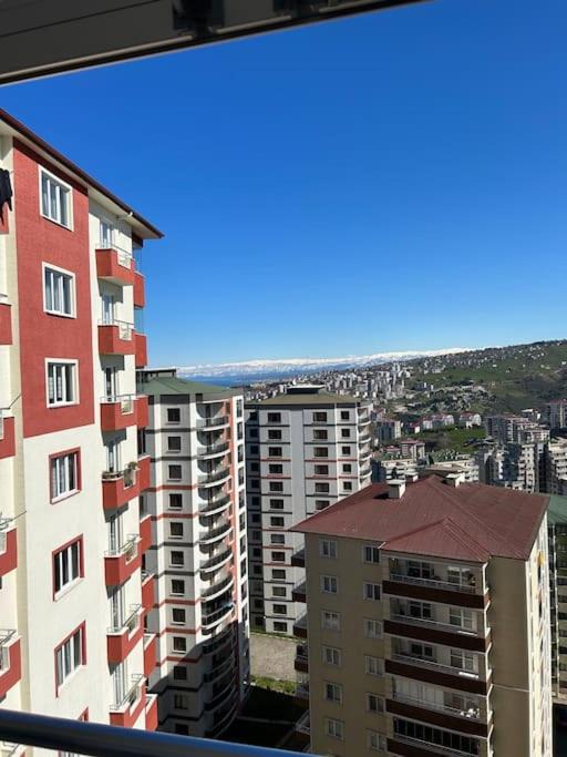 Photo of Others in Trabzon