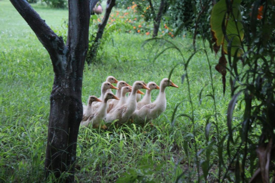 Photo of Others in Cirali