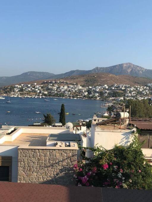 Photo of Patio Balcony in Golturkbuku